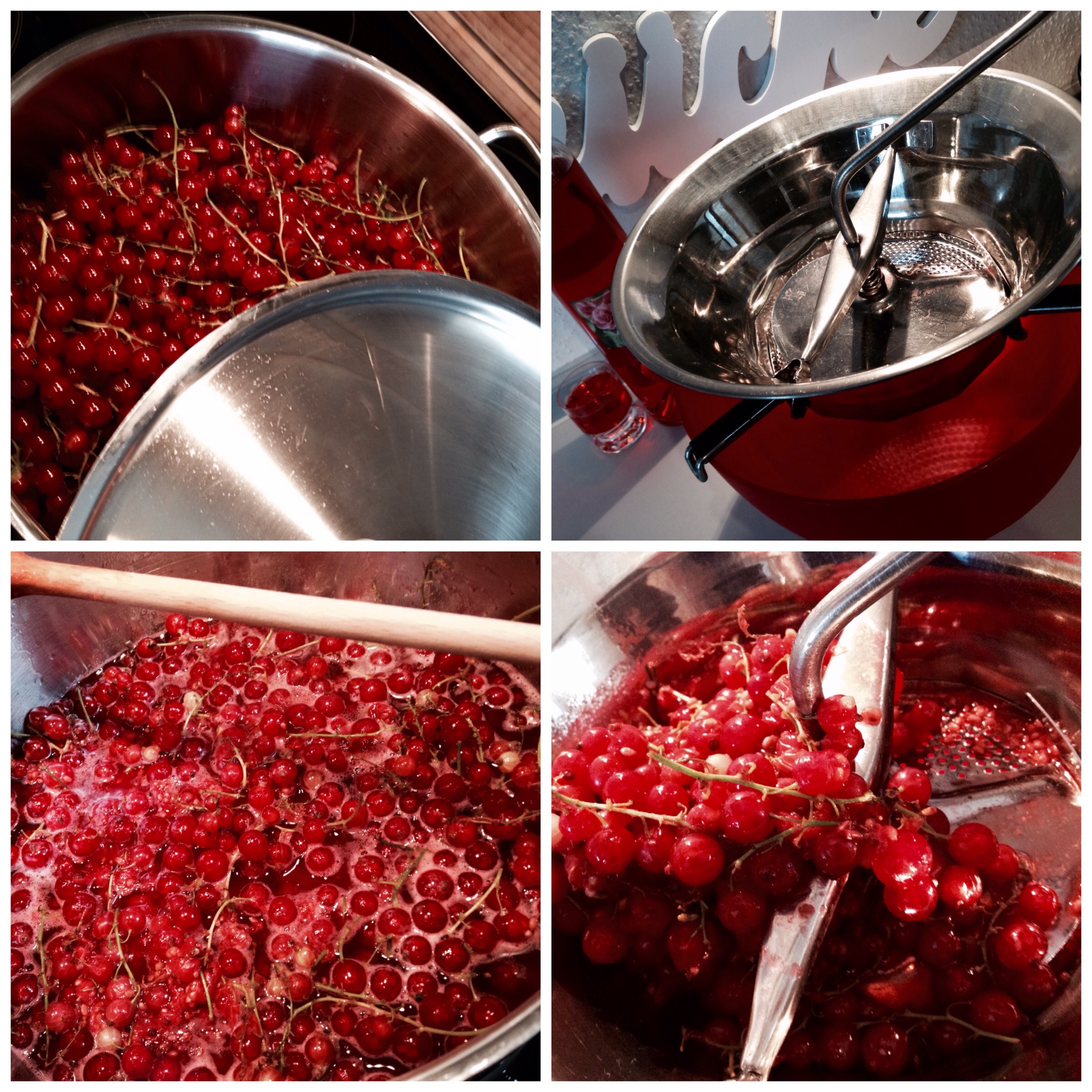 Rosen sind rot…Johannisbeeren auch: Johannisbeermarmelade mit ...